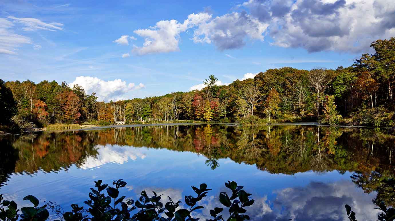 Pandapas Pond (2015), George Washington and Jefferson National Forest, Virginia
